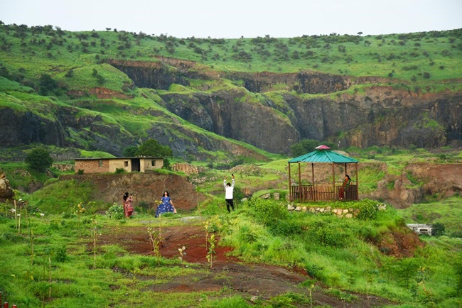 naidunia_image